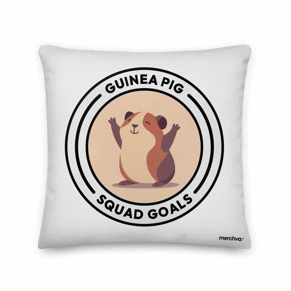 Guinea Pig Squad Goals, Pillow