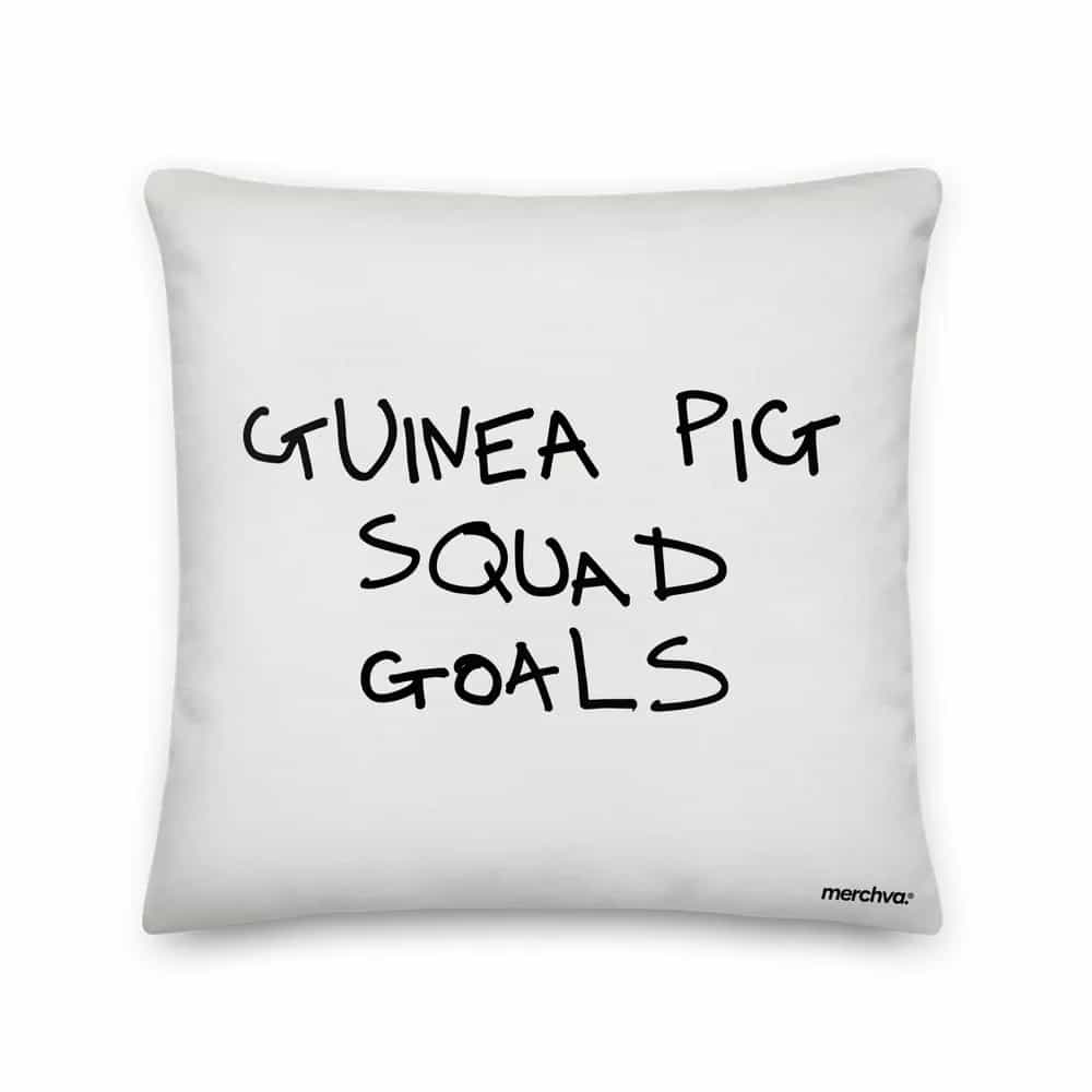 Guinea Pig Squad Goals, Pillow