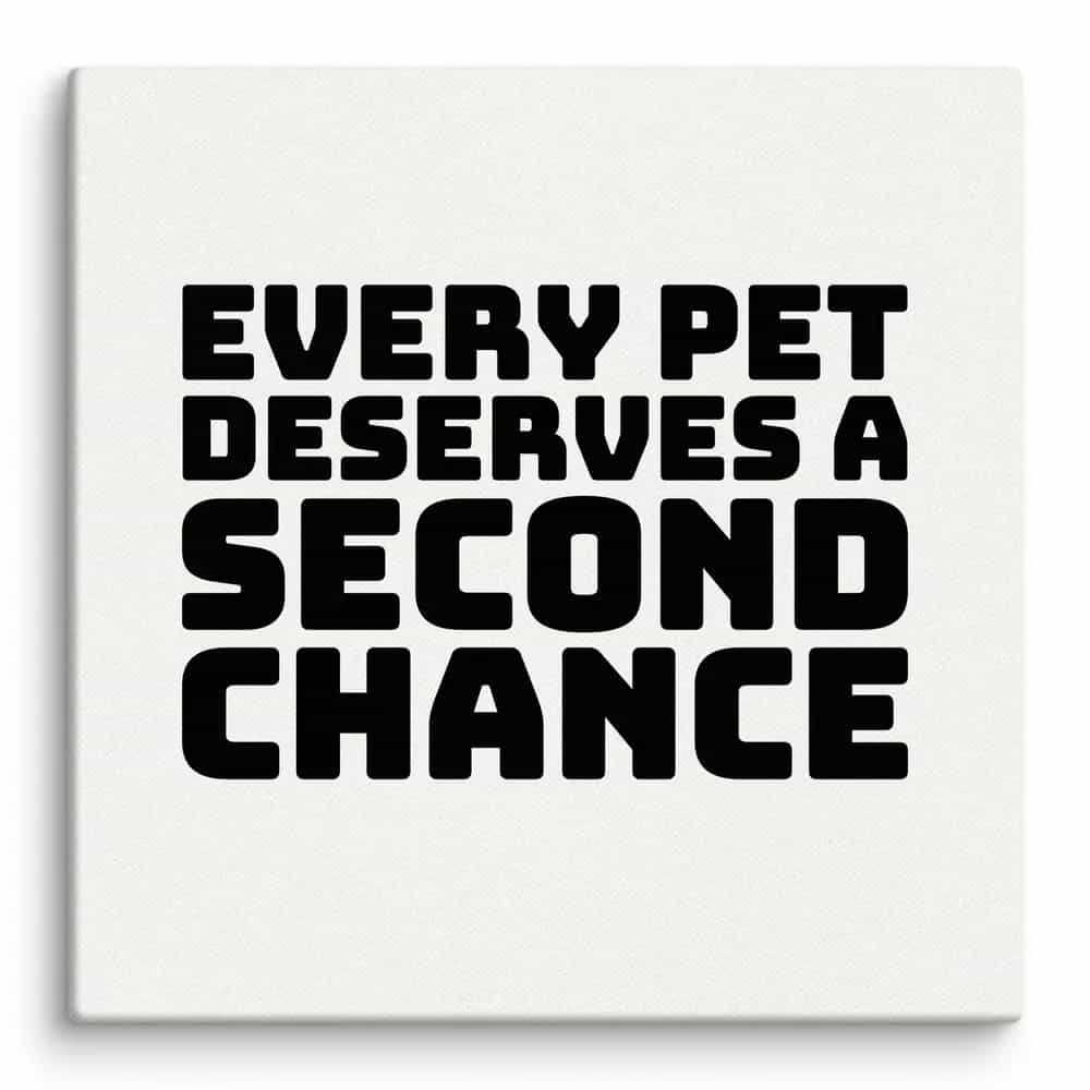 Every Pet Deserves A Second Chance, Wall Art