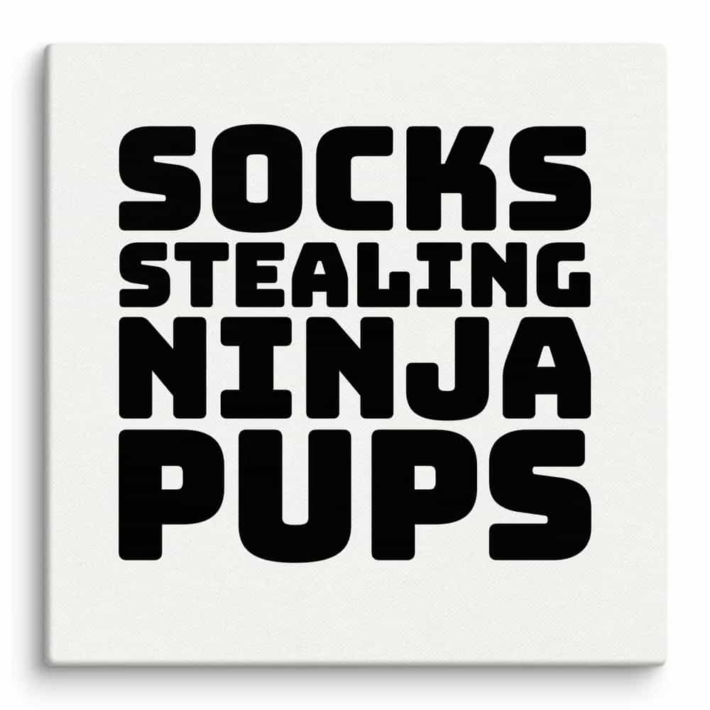 Socks Stealing Ninja Pups, Wall Art
