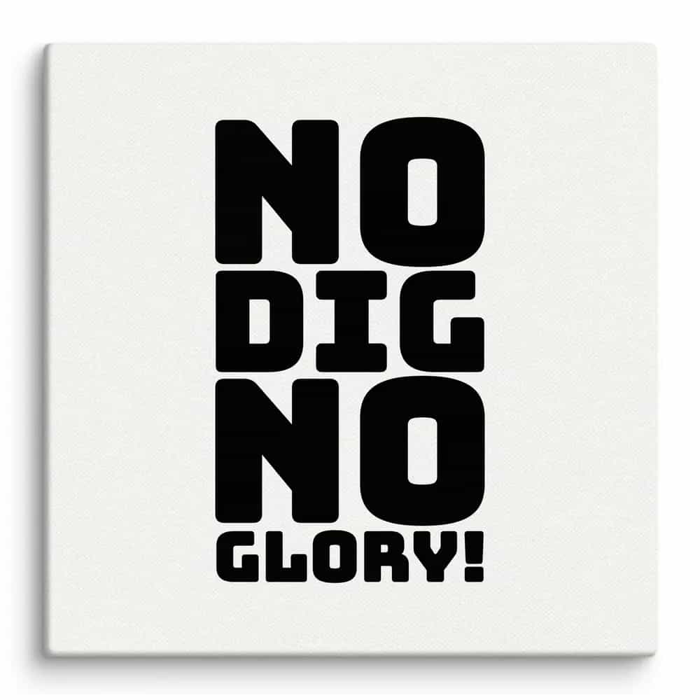 No Dig, No Glory!, Wall Art