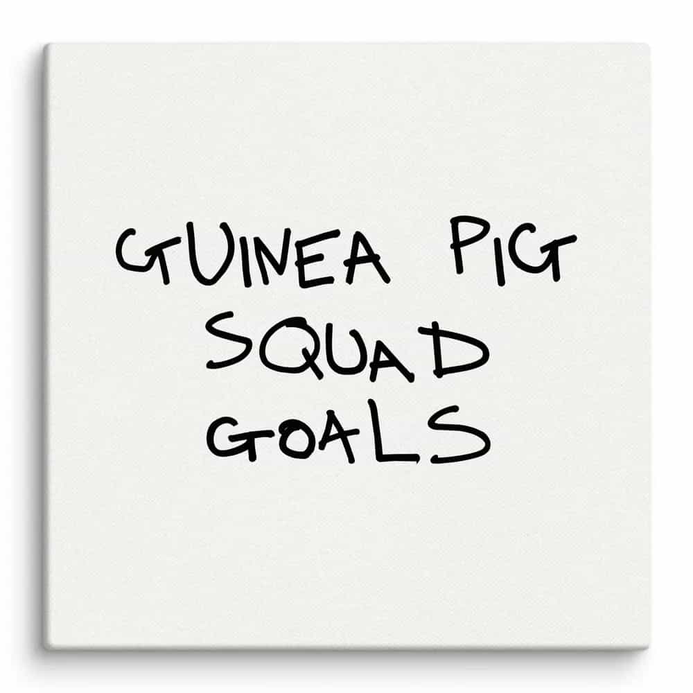Guinea Pig Squad Goals, Wall Art